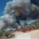 Bomberos combaten incendio forestal en Valle de Guadalupe