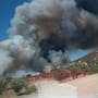 Bomberos combaten incendio forestal en Valle de Guadalupe