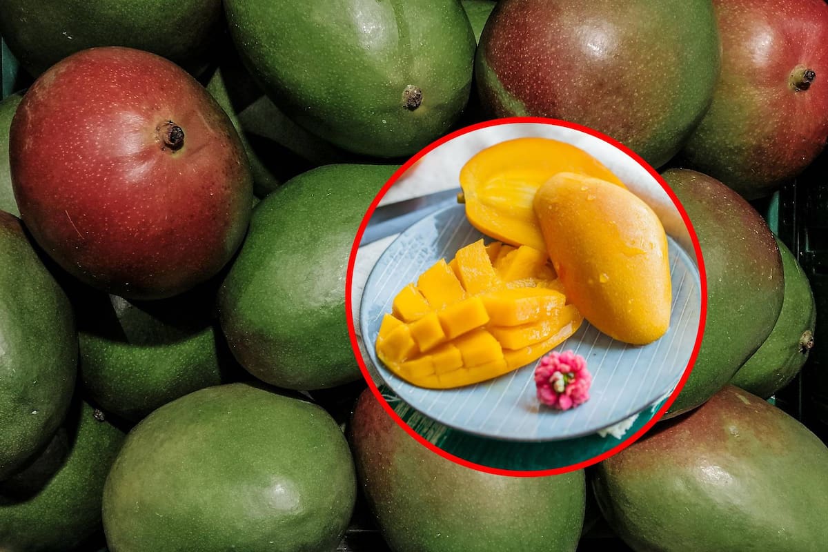 5 beneficios del mango para la salud que quizá no conocías
