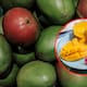 5 beneficios del mango para la salud que quizá no conocías