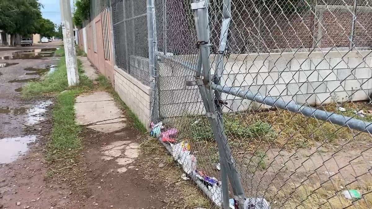 Imagen por Mayra Echeverría.