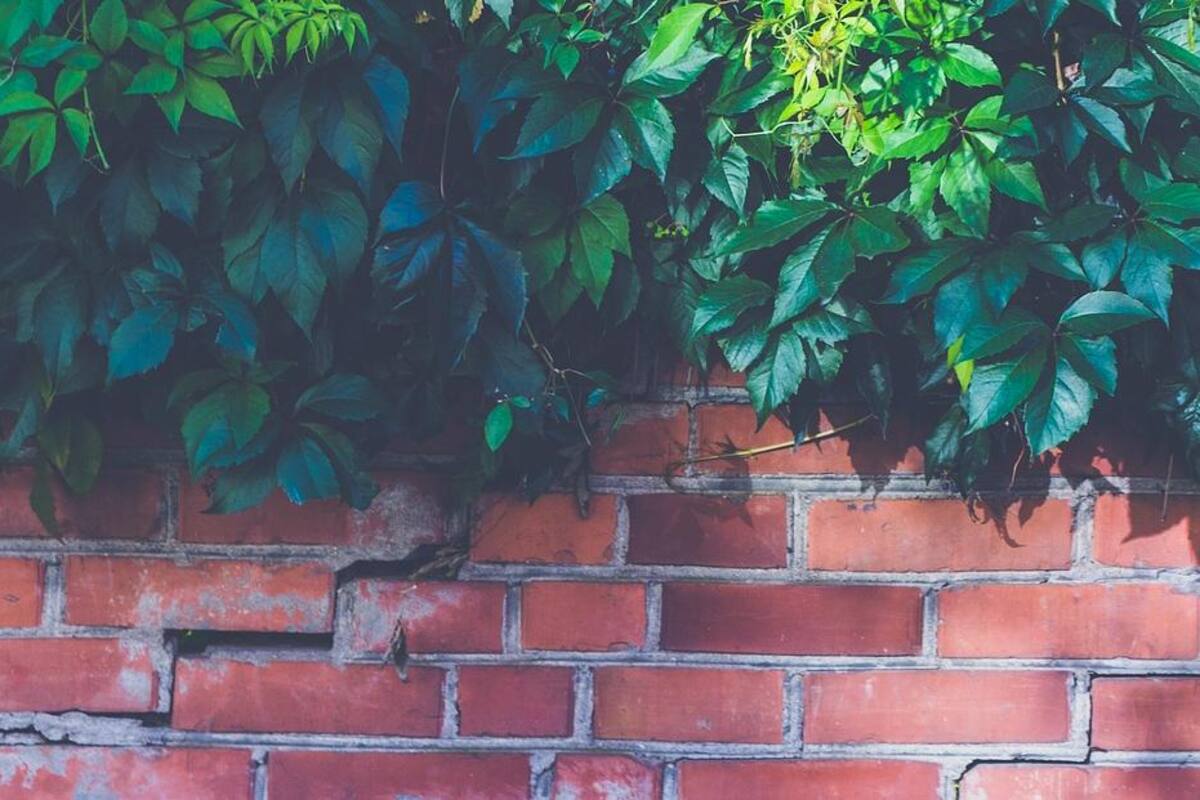 Mujer usa su cuerpo como escudo y salva a un niño de una pared de ladrillos
