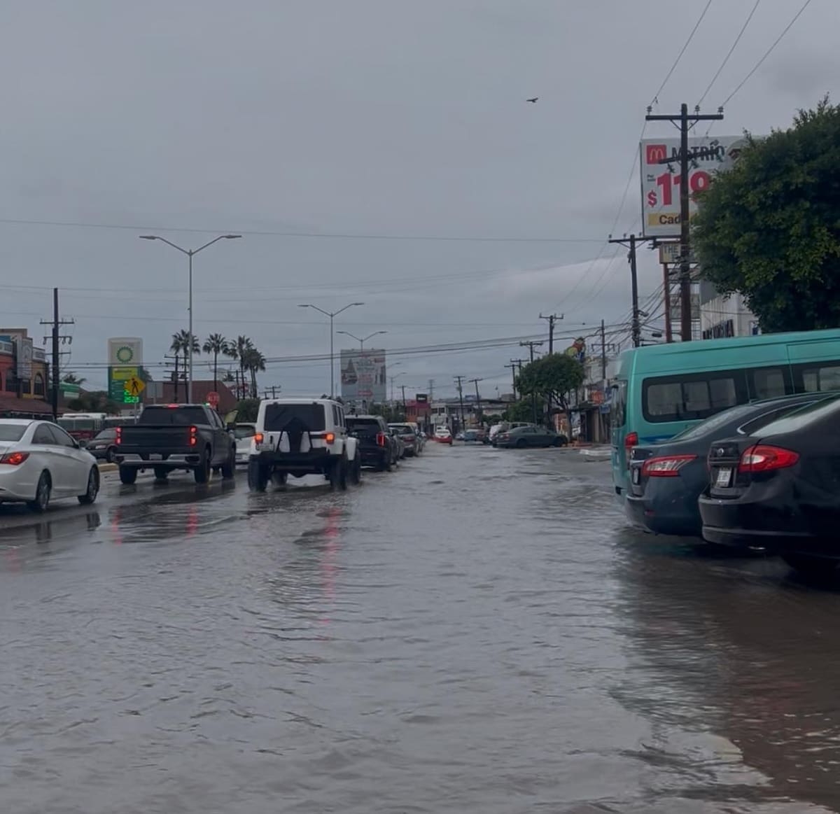 Foto: Carmen Gutiérrez