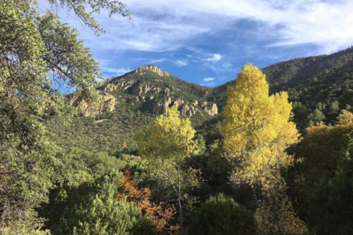 Ponte a prueba en Sierra Vista