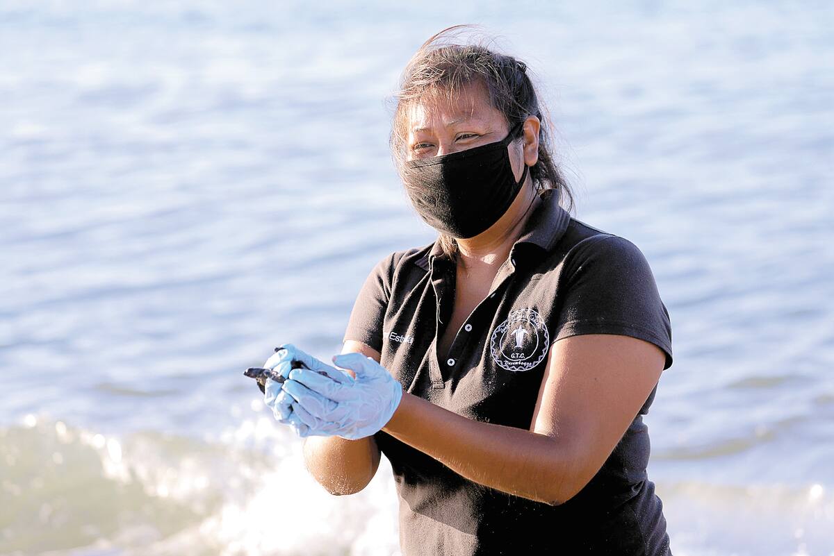Mayra Estrella, líder del grupo de Tortugueros del Desemboque, coordina los operativos del cuidado de los nidos de las tortugas.