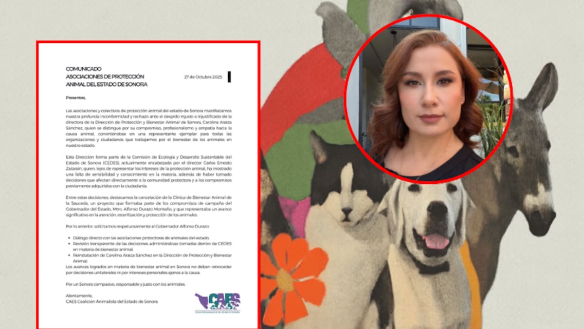Colectivos animalistas de Sonora exigen reinstalación de Carolina Araiza, rechazan despido injustificado y denuncian retrocesos en bienestar animal bajo dirección de CEDES