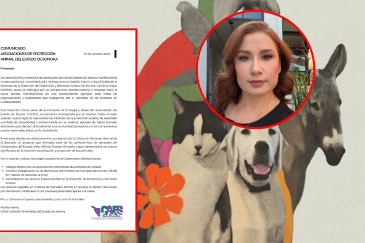 Colectivos animalistas de Sonora exigen reinstalación de Carolina Araiza, rechazan despido injustificado y denuncian retrocesos en bienestar animal bajo dirección de CEDES