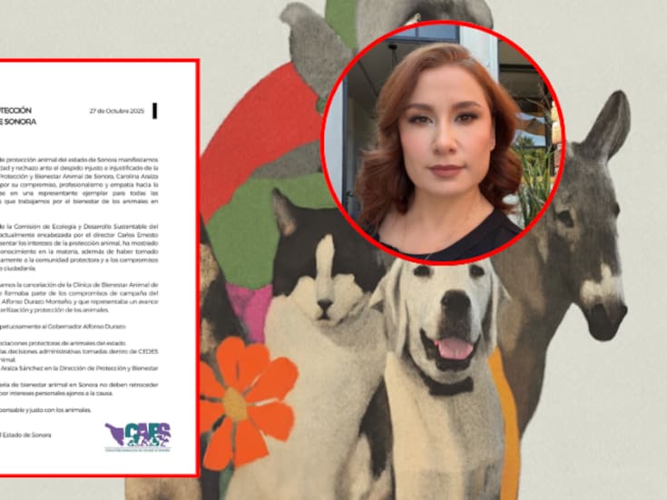 Colectivos animalistas de Sonora exigen reinstalación de Carolina Araiza, rechazan despido injustificado y denuncian retrocesos en bienestar animal bajo dirección de CEDES