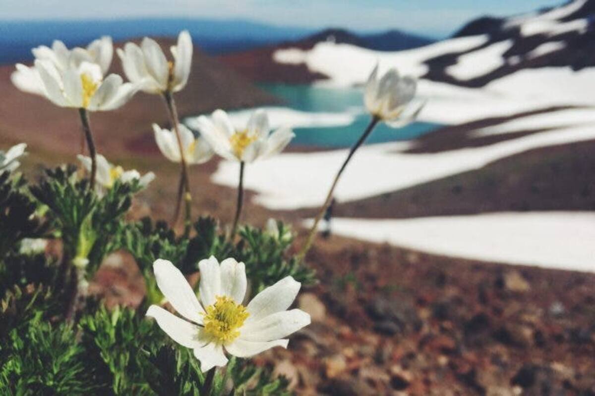 Oregon llora la ‘muerte’ de un glaciar con curioso funeral