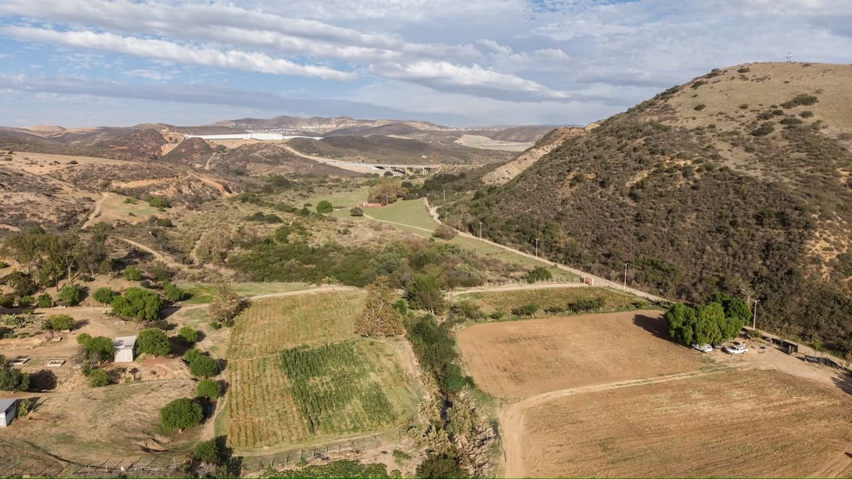 Un derrame de 9 mil litros de diésel contaminó dos kilómetros del arroyo Cañón Rosarito. Autoridades instalaron barreras y ordenaron limpiar la zona. Foto: Border Zoom