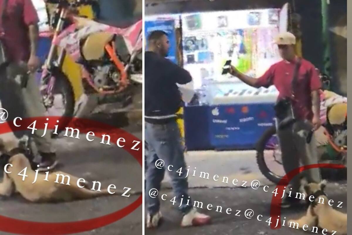 Video: Captan a hombre paseando a una leona en calles de Iztapalapa