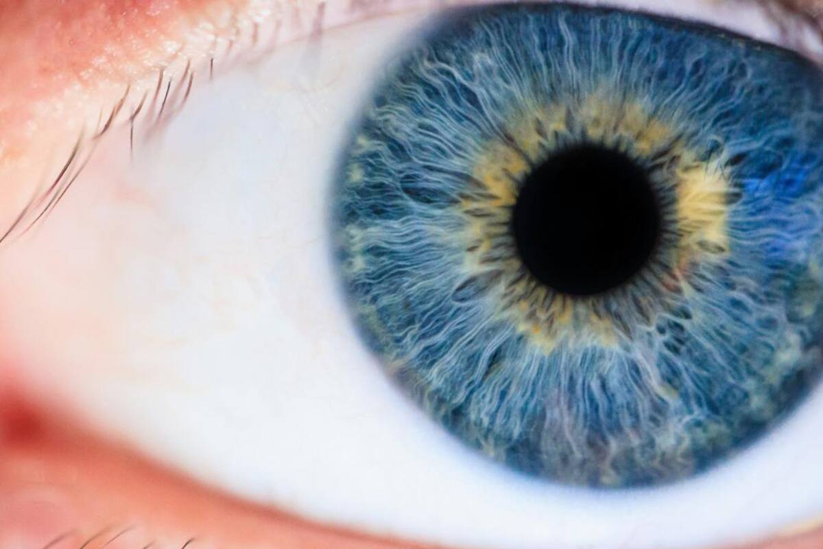 Profesionalidad al servicio de la salud en el Retina Center Tijuana, de la mano de Aureliano Moreno