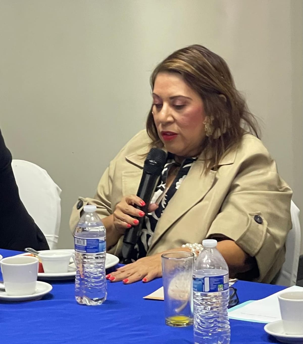 La subsecretaria de Turismo de Baja California, Martha Domínguez Uscanga, señaló que la promoción permanente y la coordinación entre autoridades y empresarios son claves para recuperar la actividad turística en Rosarito. Foto: Carmen Gutiérrez.