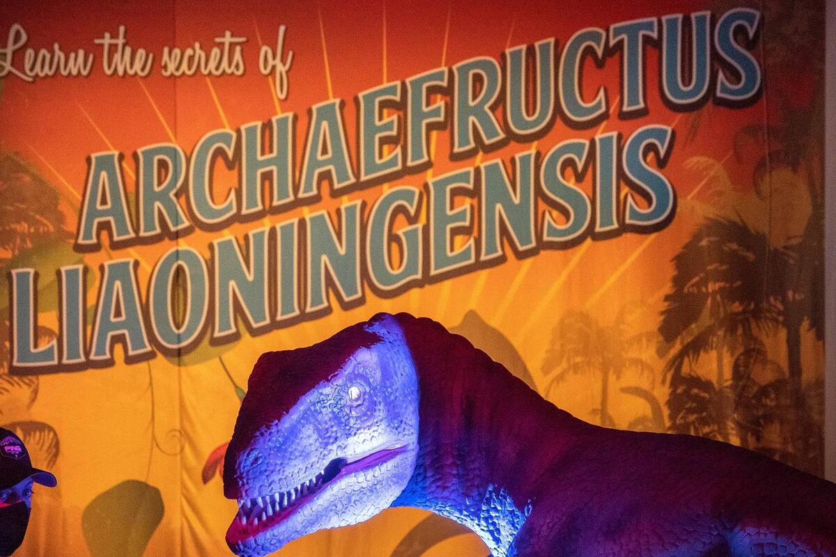 Dinosaurios de tamaño real se exhiben en una experiencia inmersiva en EU