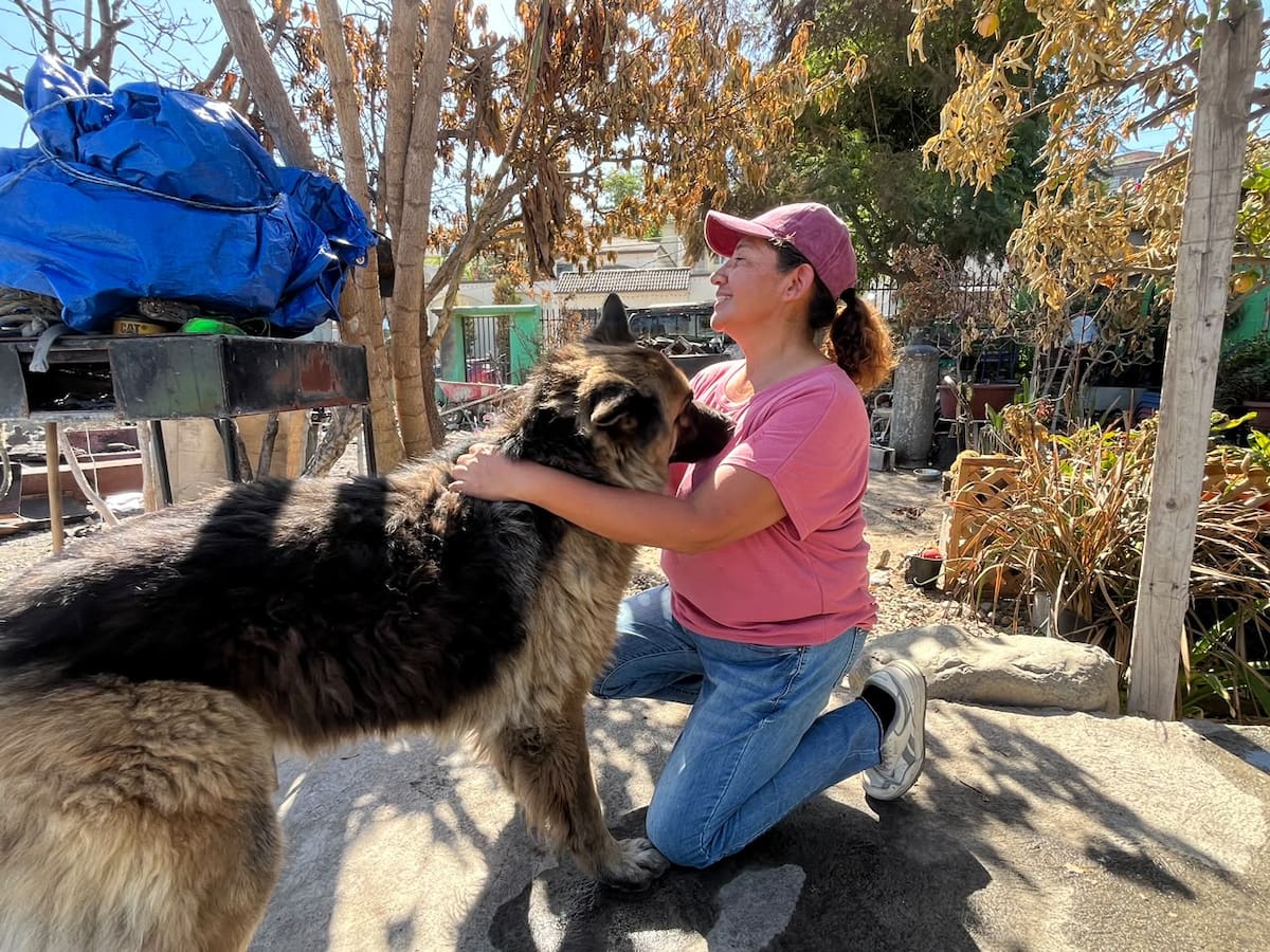 Beatriz Rojas perdió su casa en un incendio en Guaycura, Tijuana. Ahora pide ayuda para retirar escombros, alimentar a sus mascotas y reconstruir. Foto: Cortesía