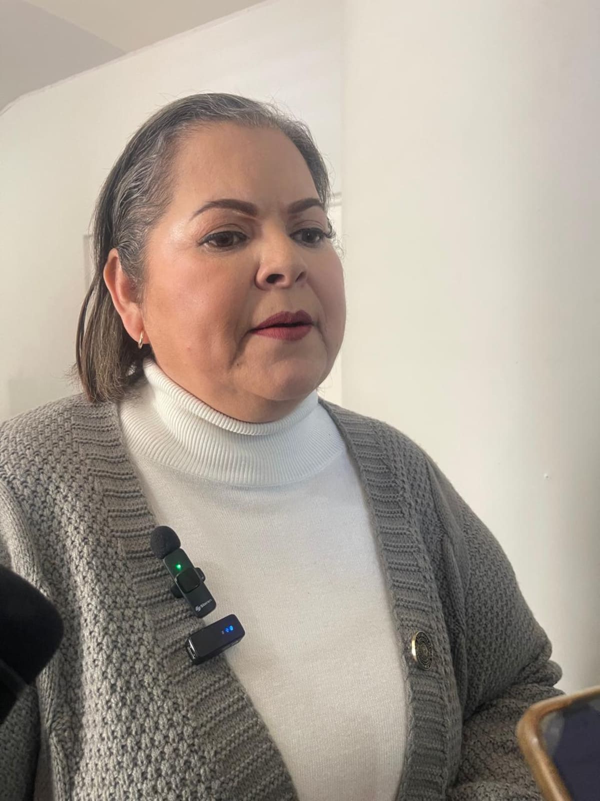 Integrantes del grupo se reunieron con la diputada federal Evangelina Moreno para solicitar su intervención ante los incrementos al Impuesto Predial aprobados en la Ley de Ingresos del municipio. Foto: Carmen Gutierrez