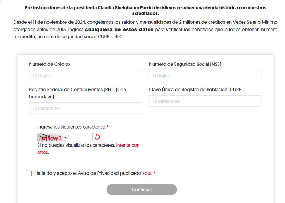 Así luce el formulario donde podrás descubrir si el saldo, deuda de tu crédito Infonavit puede ser congelado. | Captura del portal de Infonavit