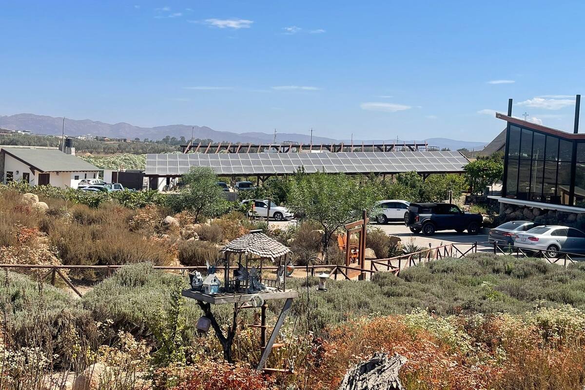 Apuesta Valle de Guadalupe por paneles de energía solar