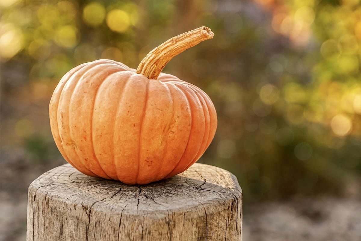 Películas de Halloween que puedes ver en streaming