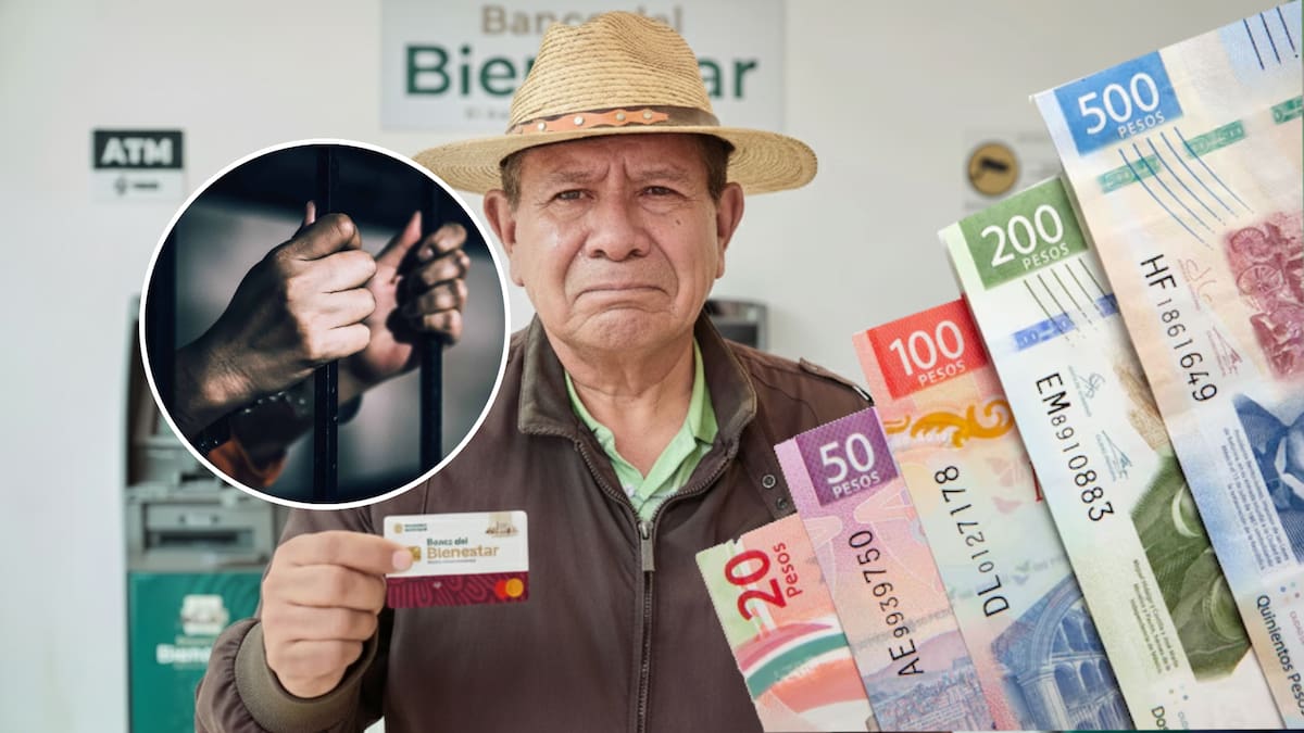 Irás a la cárcel por gastar la Pensión Bienestar sin el consentimiento del beneficiario, Partido Verde lanzó esta propuesta en la Cámara de Diputados cuya pena podrá aumentar en casos donde el adulto mayor tienen discapacidad o depende de su agresor