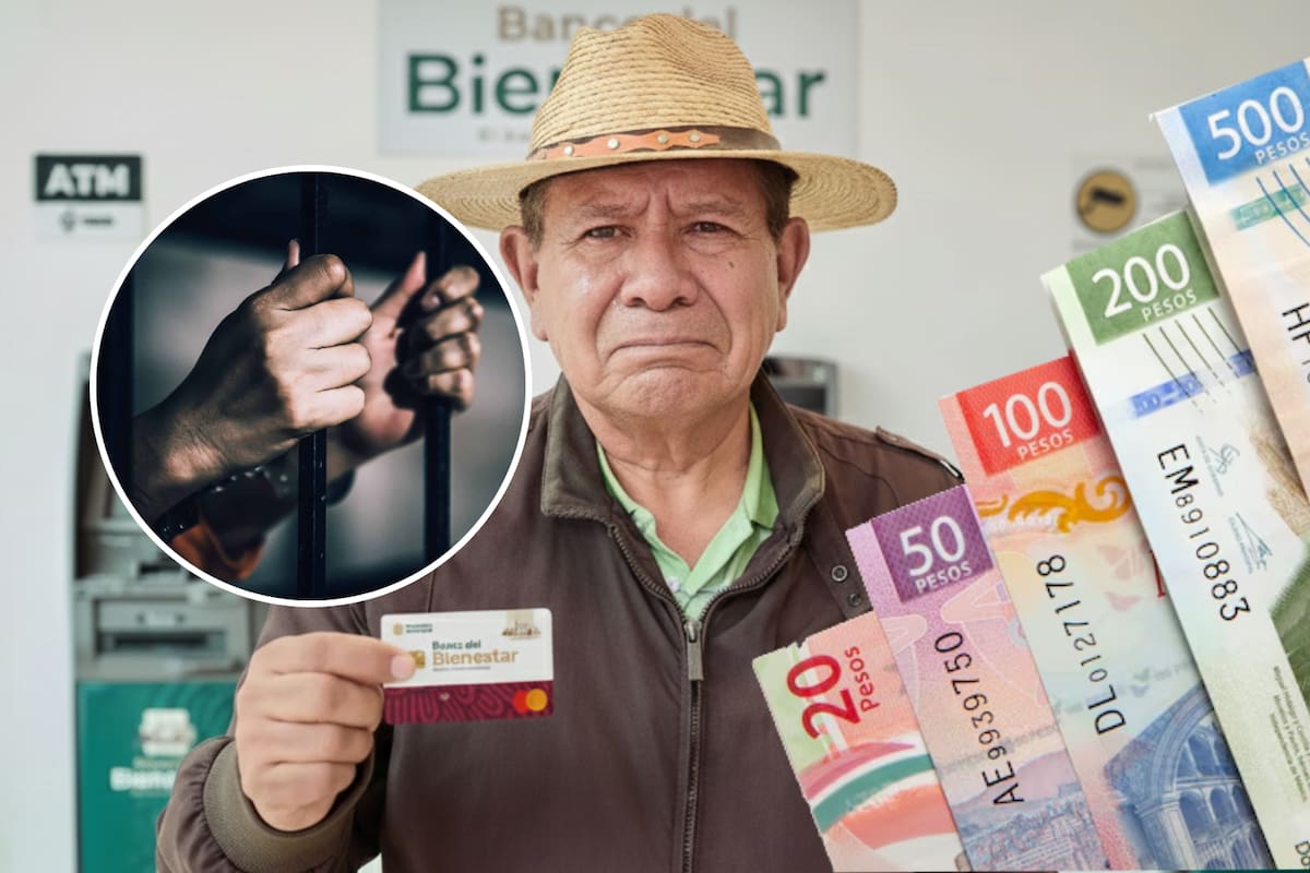 Irás a la cárcel por gastar la Pensión Bienestar sin el consentimiento del beneficiario, Partido Verde lanzó esta propuesta en la Cámara de Diputados cuya pena podrá aumentar en casos donde el adulto mayor tienen discapacidad o depende de su agresor