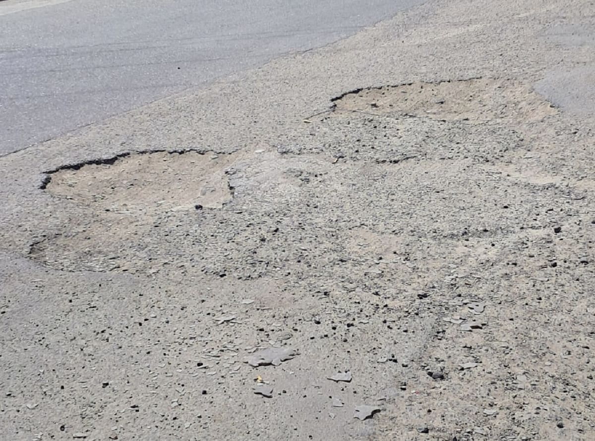 Baches.