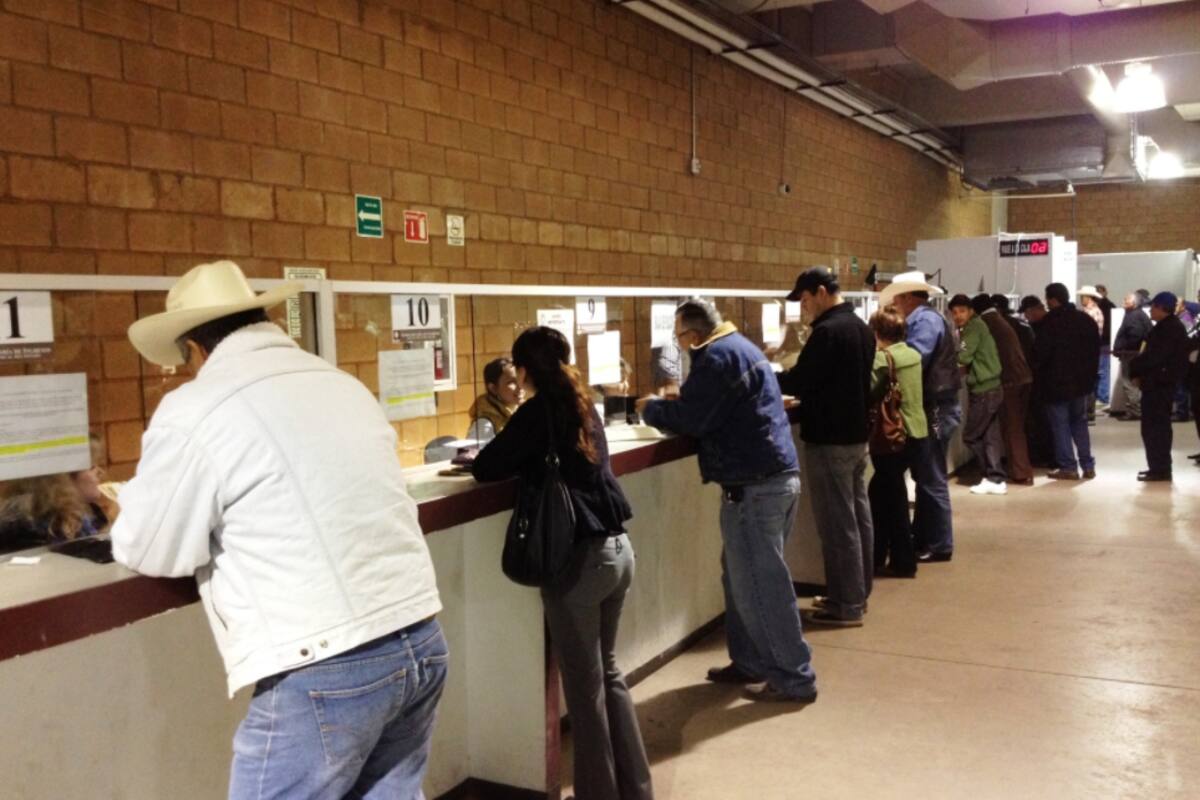 Ciudad Obregón: Escasean placas, licencias y tarjetas de circulación en agencia fiscal