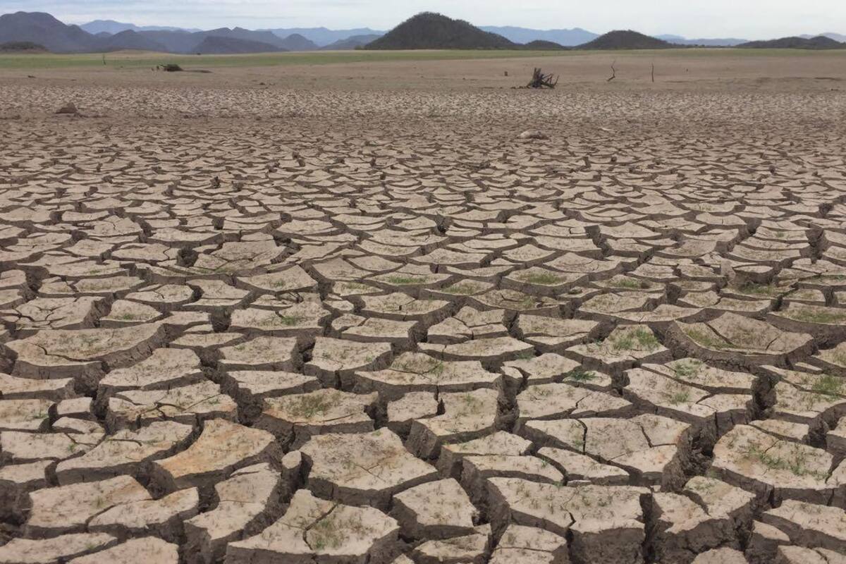 Espera AMLO que sequía no afecte al campo sonorense este año
