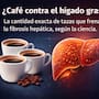 ¿Café contra el hígado graso? La cantidad exacta de tazas que frenan la fibrosis hepática, según la ciencia