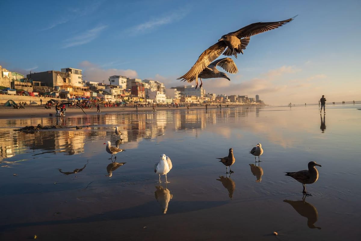 Kilómetro Uno celebra jornada 100 de limpieza en Playas de Tijuana