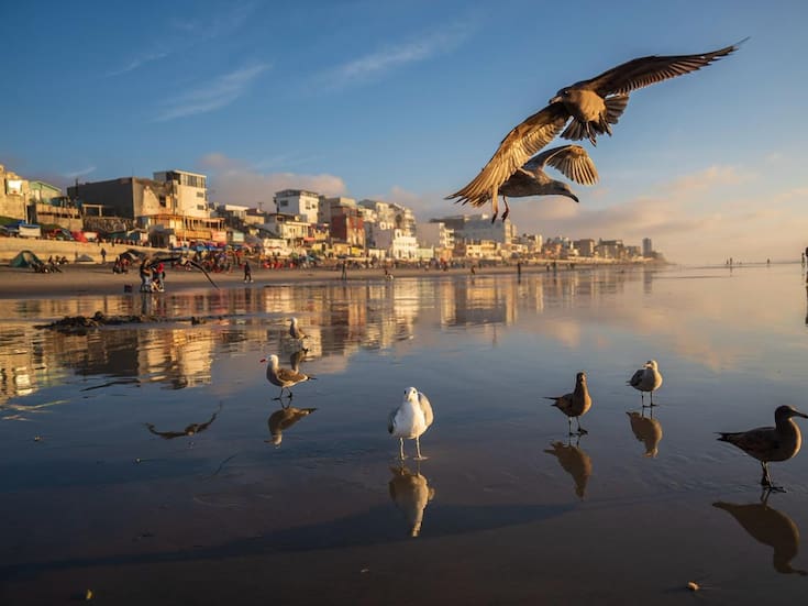 Kilómetro Uno celebra jornada 100 de limpieza en Playas de Tijuana