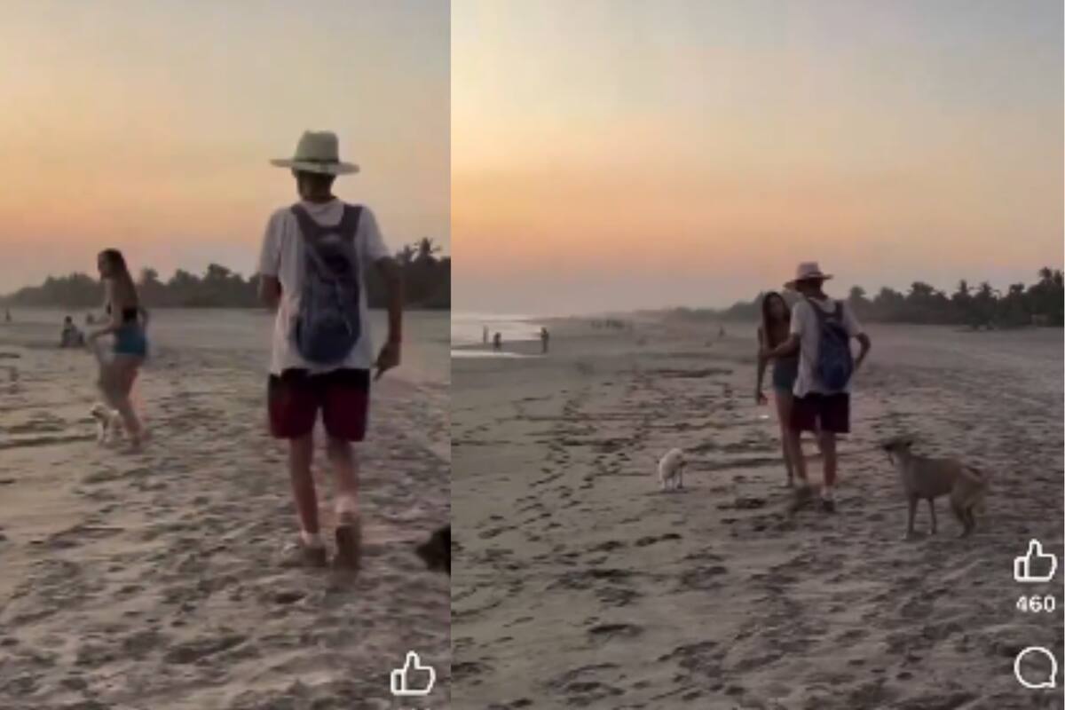 Viral: Extranjera ataca a un perro y a un hombre que intentó defenderlo