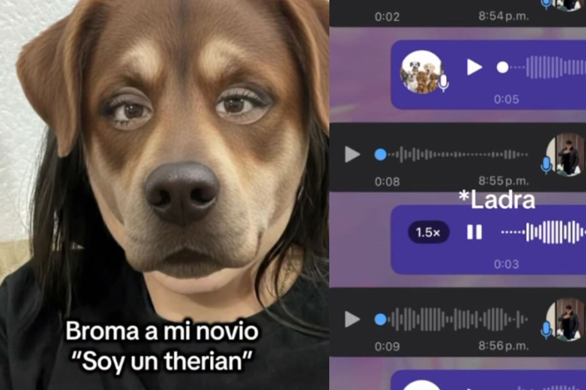 “Le hace creer a su novio que es un therian”: chica le hace creer a su novio que es un therian y él no se lo toma bien