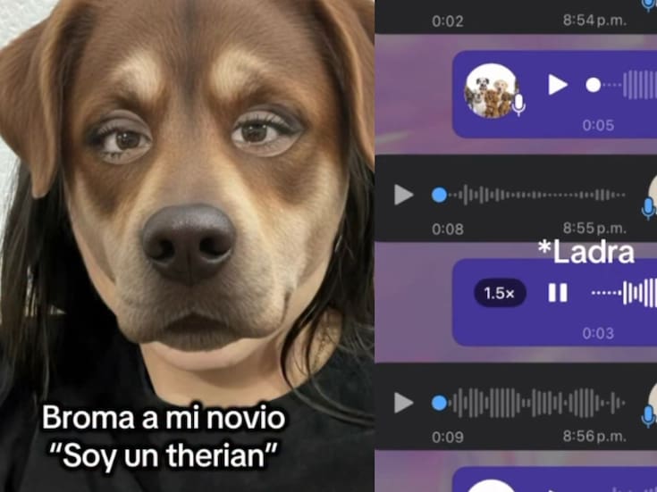 “Le hace creer a su novio que es un therian”: chica le hace creer a su novio que es un therian y él no se lo toma bien