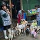 Busca salvar refugio ‘’Patitas firmes’' y cubrir gastos médicos con rifa