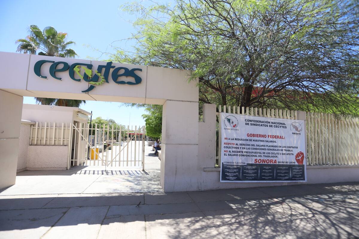 Cecyte paga 13 mdp a los profesores