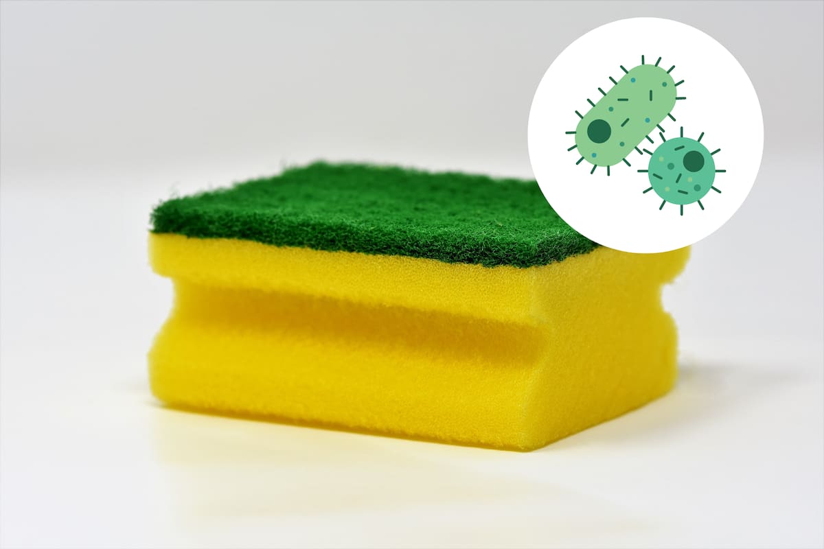 Tu esponja para lavar trastes está llena de bacterias, te decimos cómo desinfectarla