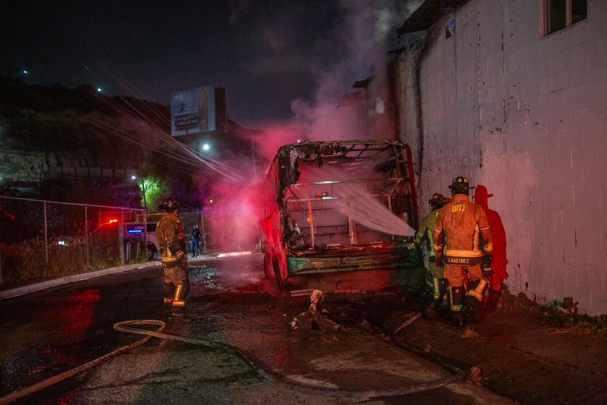 Rescataron conejos que se encontraban dentro del inmueble.