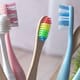 UNAM advierte que el cepillo de dientes puede acumular bacterias si no se limpia y seca correctamente; recomienda desinfección y cambio periódico
