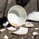 Si una taza de café se rompió, no la deseches todavía; estas 3 alternativas permiten convertirlas en elementos decorativos prácticos y sostenibles