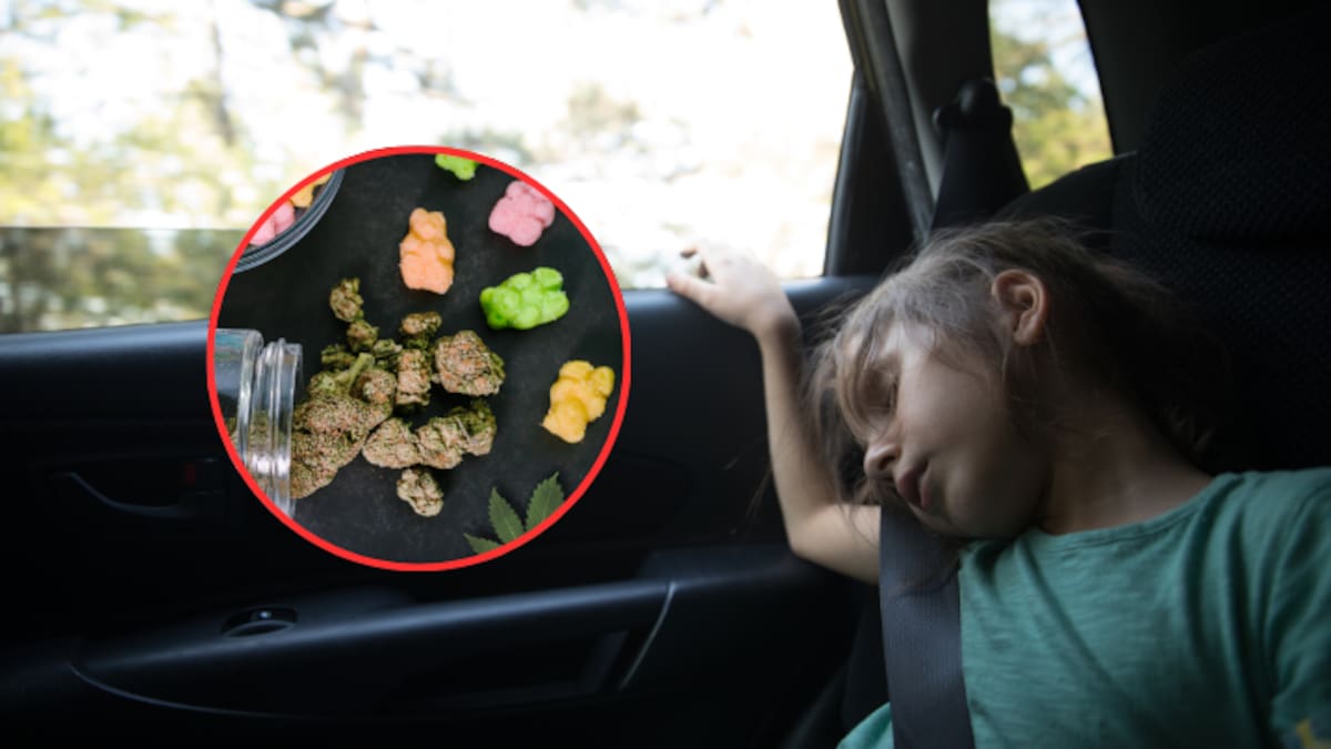 Descubren red de trata infantil entre Ciudad Juárez y El Paso; drogaban menores con gomitas de marihuana para llevarlos ilegalmente a EEUU