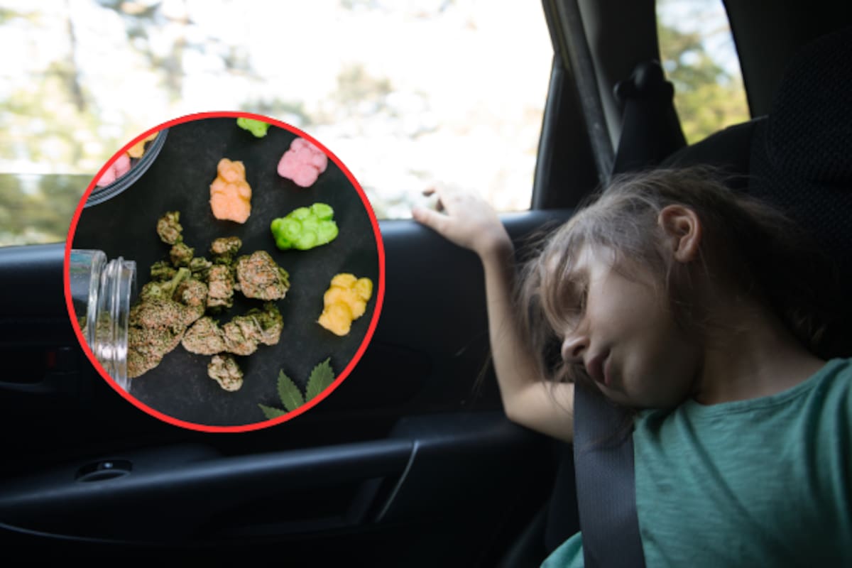 Descubren red de trata infantil entre Ciudad Juárez y El Paso; drogaban menores con gomitas de marihuana para llevarlos ilegalmente a EEUU