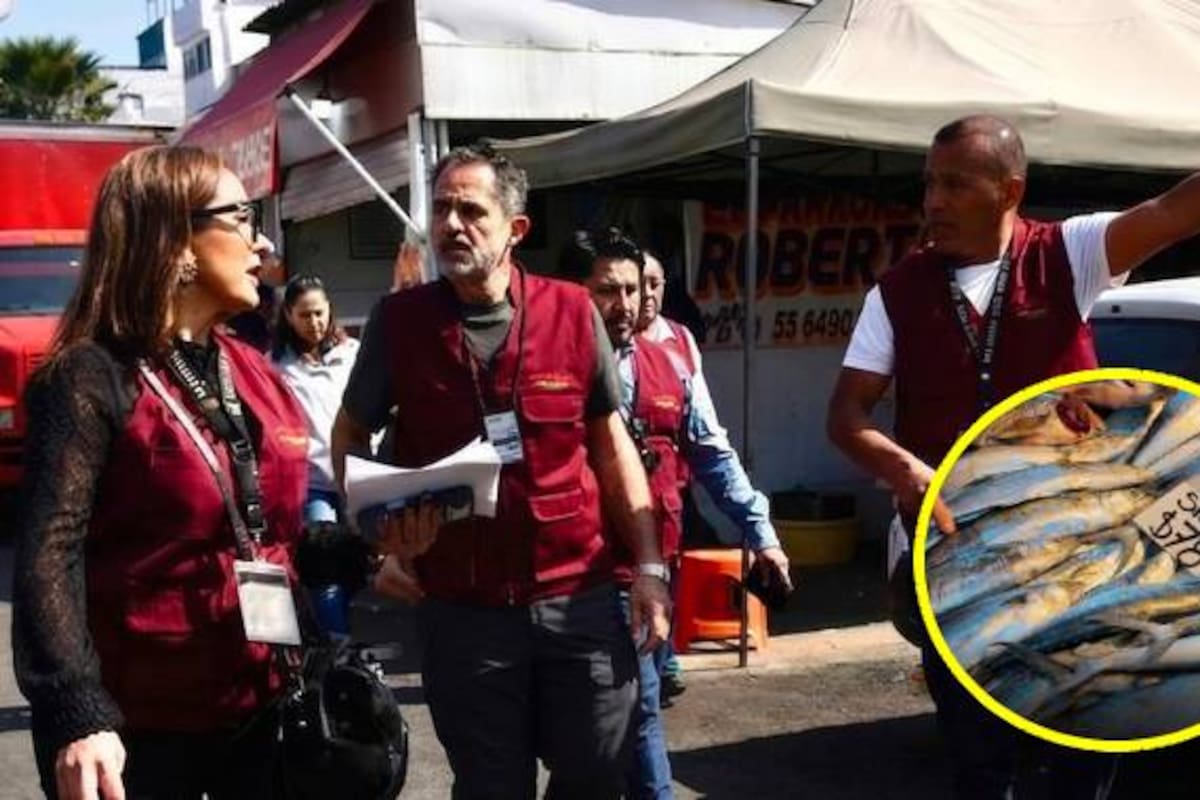 Profeco concluye operativo de Semana Santa 2026, con 11 suspensiones a negocios, tras revisar más de 73 mil productos