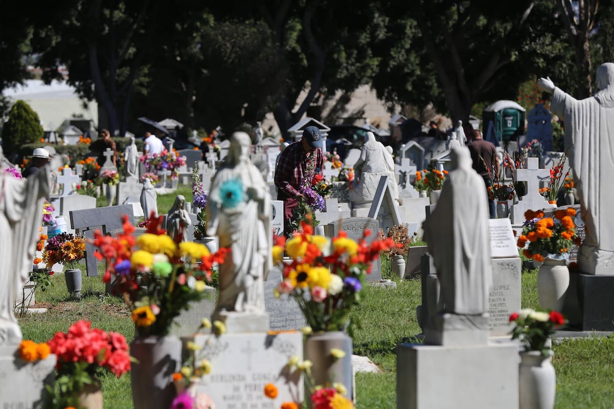 Profeco lanza programa de verificación y vigilancia para la festividad de Día de Muertos 2024