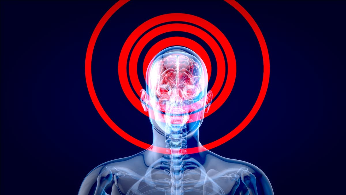 Dado que el hipocampo suele verse afectado en estos casos, comprender cómo anticipa y aprende el cerebro podría ayudar a diseñar futuros tratamientos o estrategias de intervención.