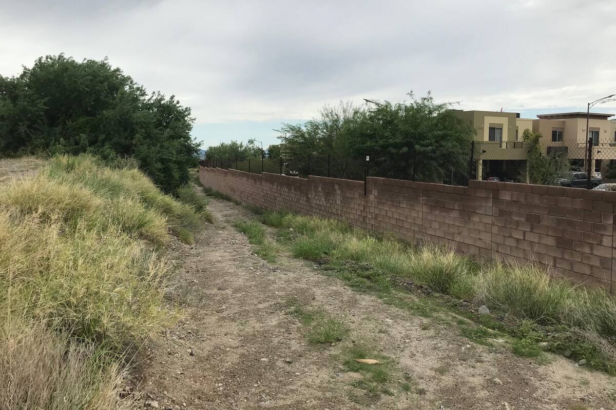 Piden eliminar toda la maleza del Morelos y Progreso
