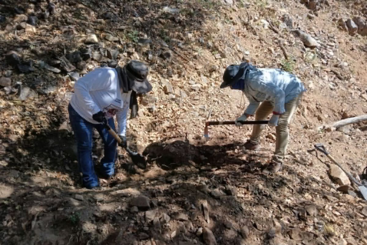 Colectivos de Sonora encuentran dos osamentas más en Mariposa, Nogales; suman siete hallazgos en cinco fosas durante dos días de búsqueda