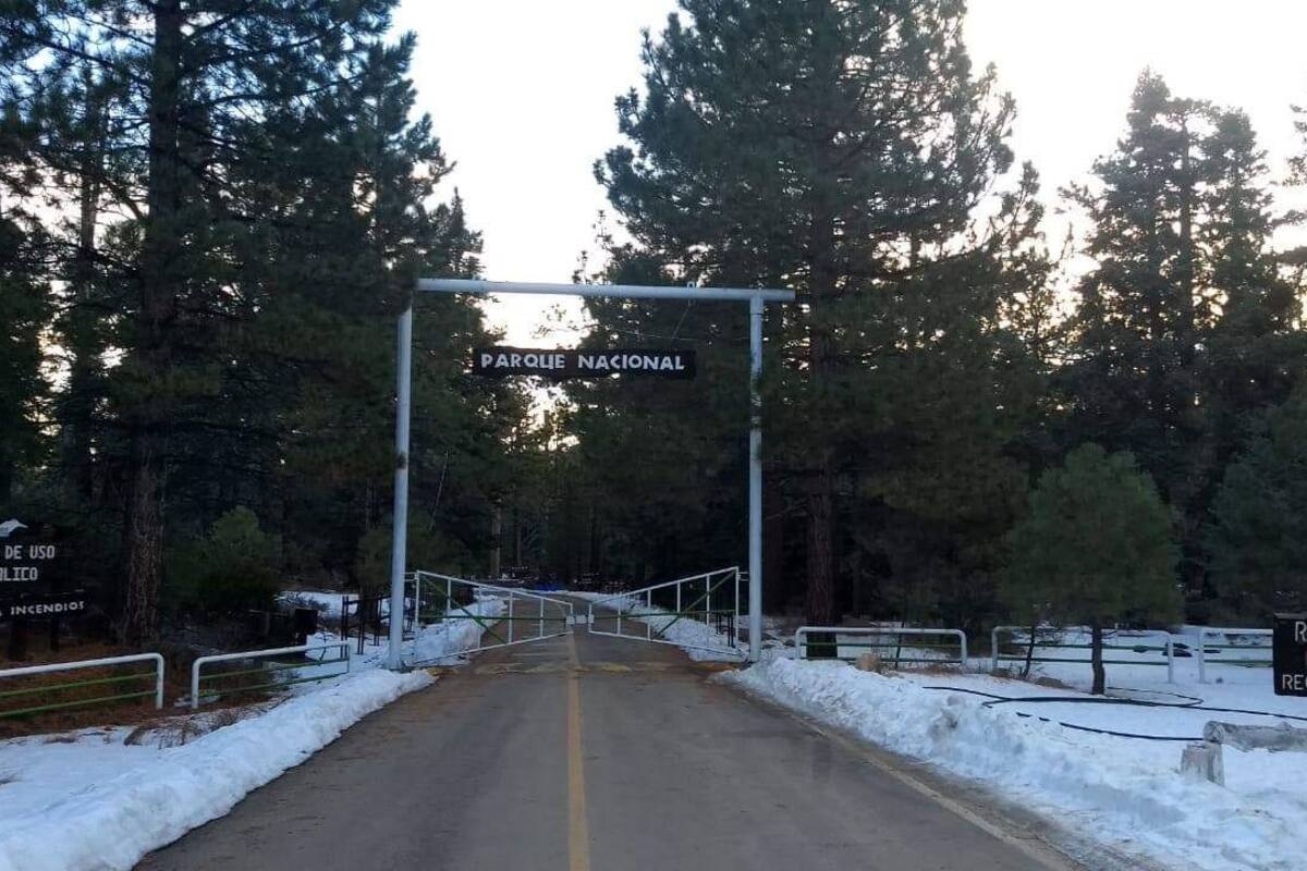 Parque San Pedro Mártir, una opción para disfrutar en vacaciones