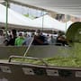 Michoacán hace historia al crear el guacamole más grande del mundo con casi 7 toneladas en una jornada masiva que reunió a cientos de personas y rompió el récord Guinness en una celebración sin precedentes