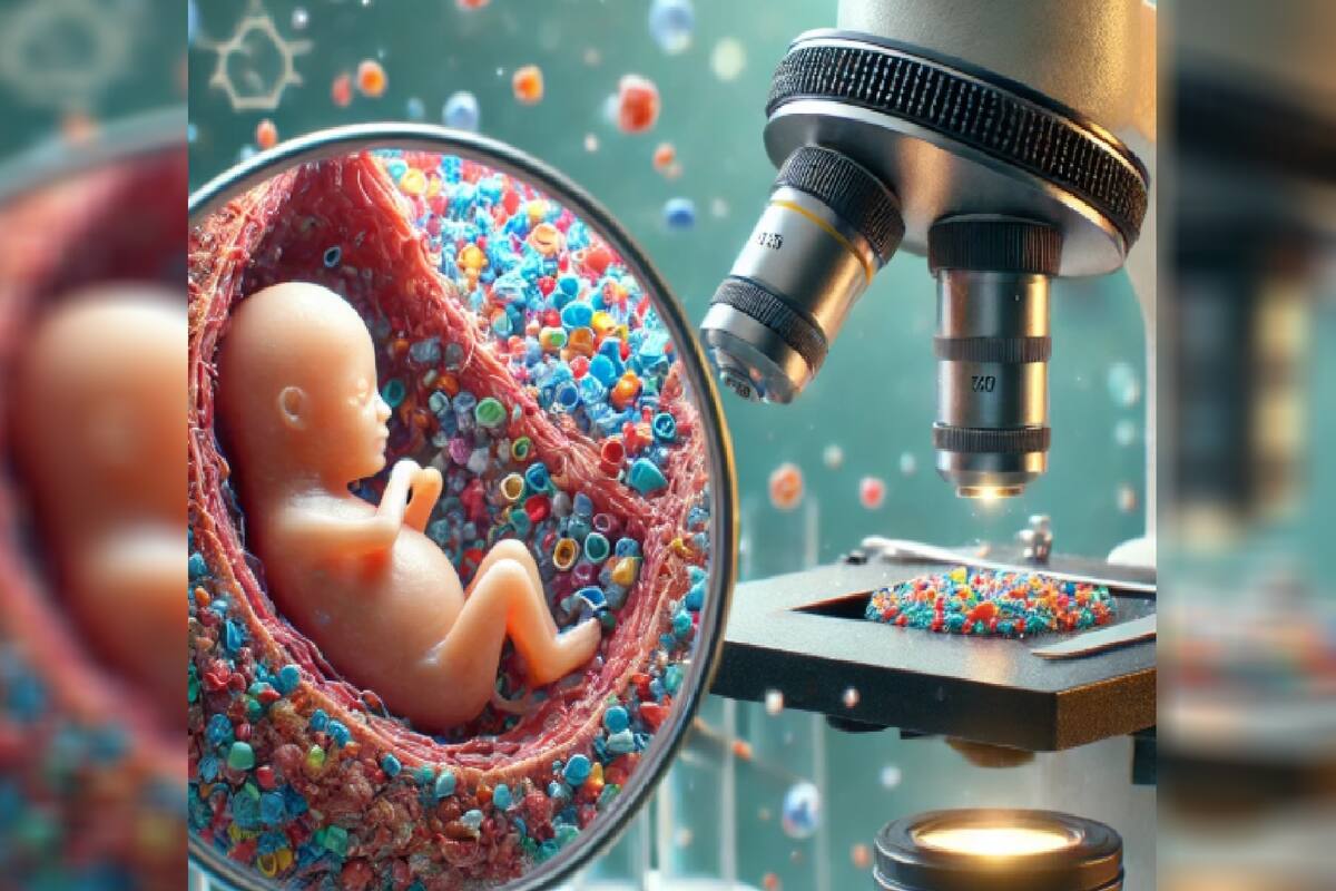 Estudio encuentra grandes concentraciones de plásticos en placentas de bebés prematuros